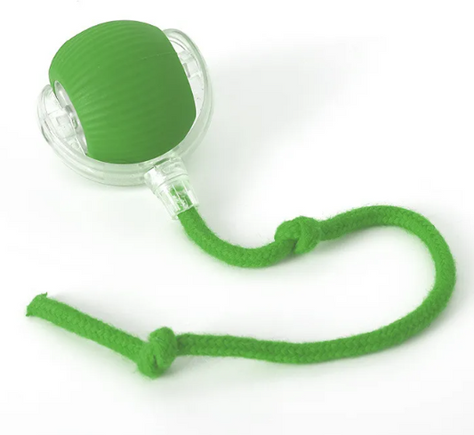 Self-Rolling Cat Toy Ball — Interactive & Fun