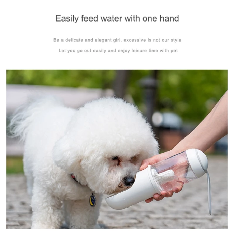 On-the-Go Pet Water Bottle