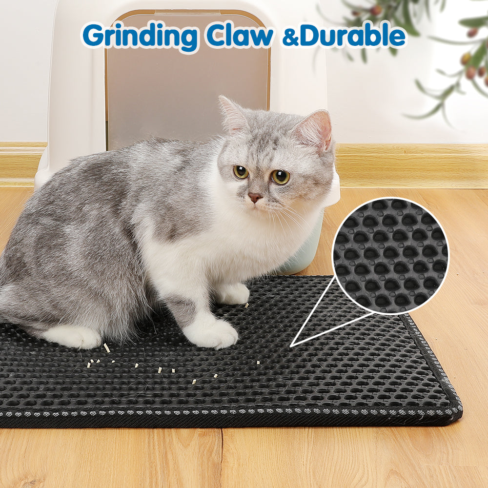 Double-Layer Cat Litter Trap Mat