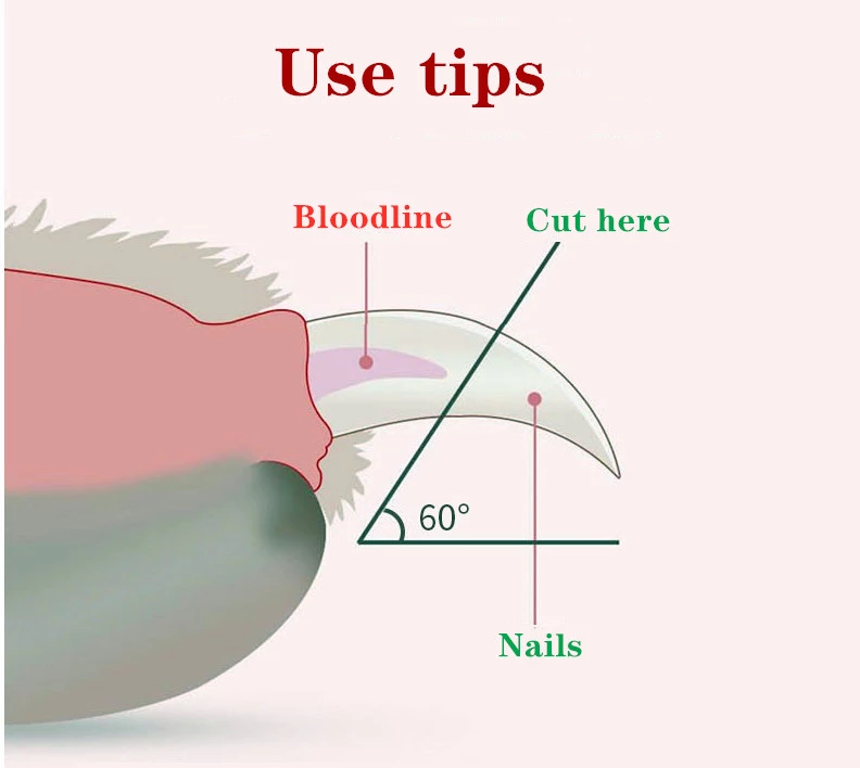 LED Glow Nail Clipper for Pets